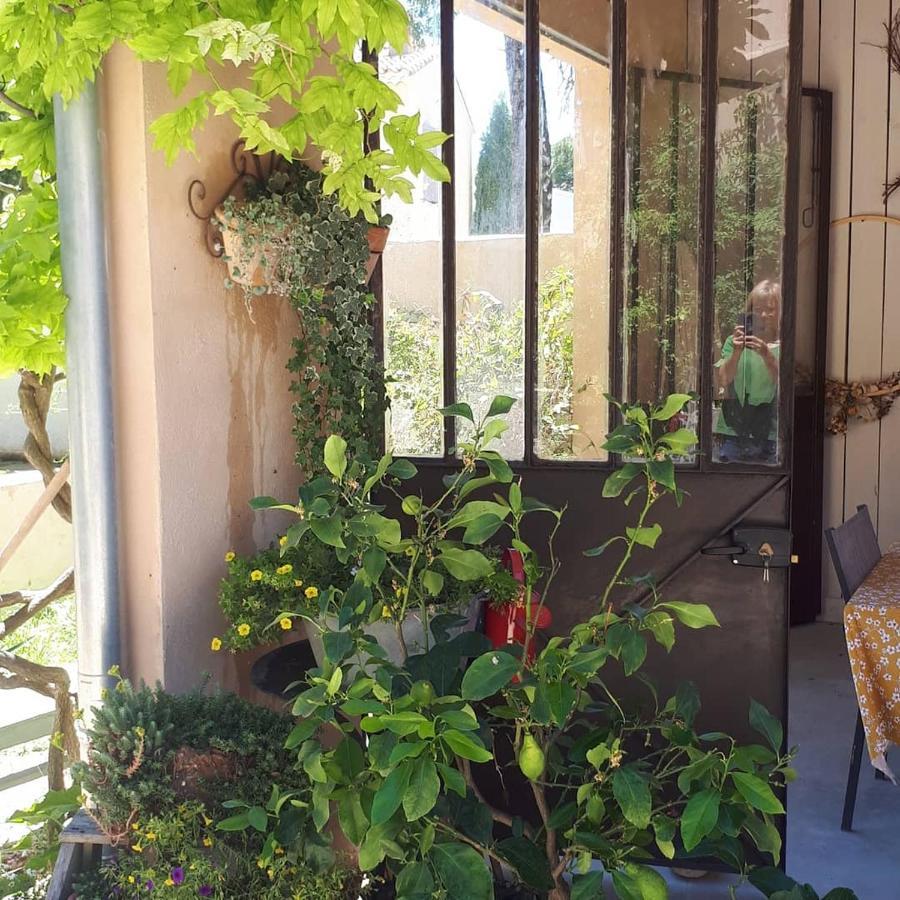l'Esperluette Fleurie B&B Carpentras Extérieur photo